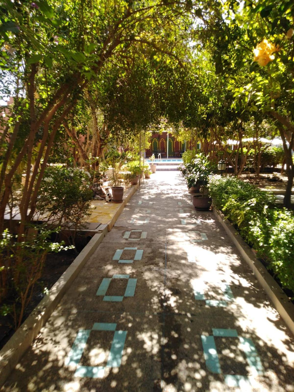 Riad Les Jardins Mabrouk Taroudant Esterno foto